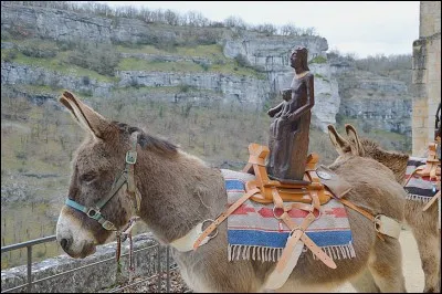 Dans le Lot, des ânes de la Miséricorde portant une statue de Notre Dame de Rocamadour et accompagnés de pèlerins missionnaires partent de Rocamadour pour visiter tous les clochers du diocèse. De quel diocèse s'agit-il ?