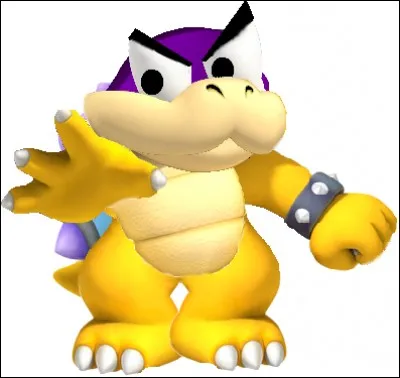 Comment cet enfant de Bowser s'appelle-t-il?