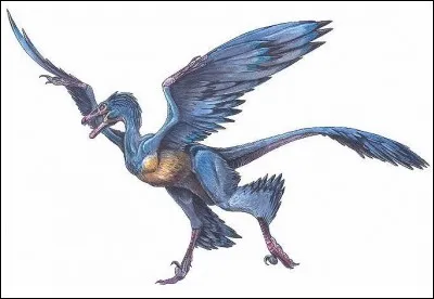 L'archaeoraptor est le nom donné à un fossile frauduleux. Le prétendu découvreur avait associé un fossile d'oiseau primitif avec celui d'un petit dinosaure arboricole nommé...