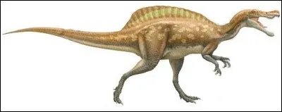 Archeoraptor fait partie des nombreux fossiles scandaleux qui attirent l'attention sur le marché illégal des fossiles en Chine. Cependant il arrive que certains fossiles frauduleux contiennent les morceaux d'un nouveau dinosaure. Ce fut le cas pour...