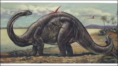 En 1879, le brontosaure fut décrit à partir des ossements de deux dinosaures, les restes d'un apatosaure mélangé avec la tête et les membres antérieurs d'un...