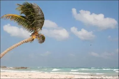 C'est le dernier lment et il peut tre froid ou chaud.