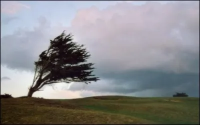 Comment étaient personnifiés les vents en Cornouaille ?