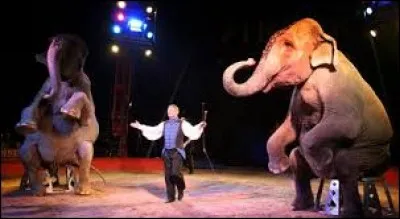 J'invite Chat et Barry ___ voir des clowns !