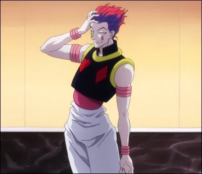 En quoi Hisoka transforme-t-il son nen ?
