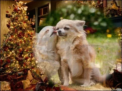 Qui a écrit "Le baiser au lépreux" ?