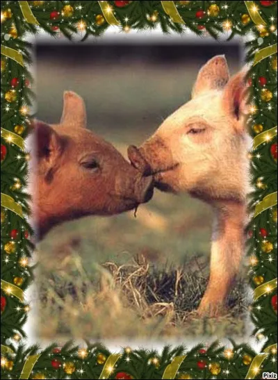 Quelle est la manière dont un homme galant rend hommage à une femme ?