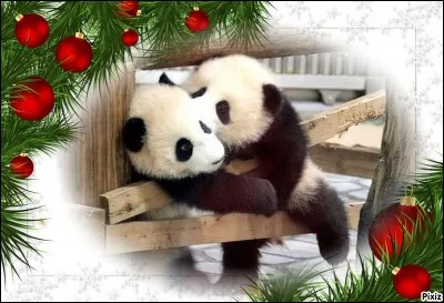 Lors de quelle fête une petite bise ou un petit baiser sont-ils obligatoires ?