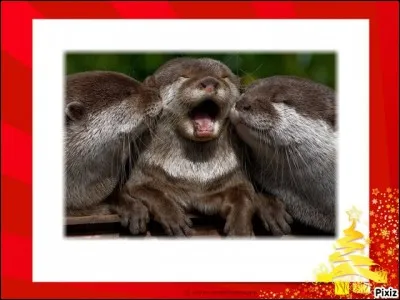 Combien de bises est-il coutume de se faire dans le département de l'Isère, comme dans la majorité des régions françaises ?