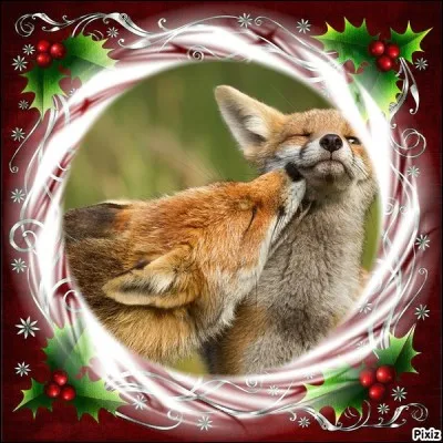 Sous quoi se fait-on la bise pour le jour de l'an ?