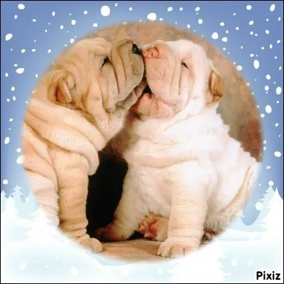 A qui doit-on "Je chante un baiser" ?