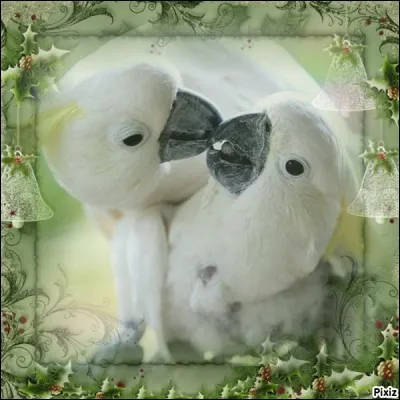 Mais qui chantait "Big Bisou" ?