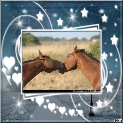 De quelle couleur est une robe dite "bise" ?