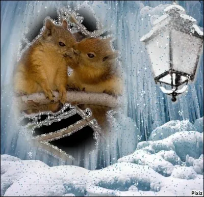 Quel livre a écrit Elisabeth Chandler ?