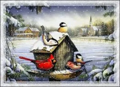 Perroquets originaires de Nouvelle-Zélande :