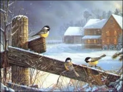 En géologie, filon de roche éruptive :