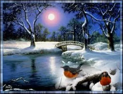 Manteau de laine qui se porte dans les pays du Maghreb :