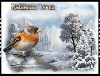 Musique rythmique afro-américaine apparue à la fin des années 1960 :