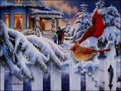 Palet, au hockey sur glace :