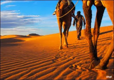 Quelle est la plus grande ville du Maroc ?