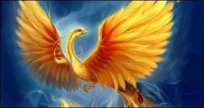 Vous connaissez cette histoire ?