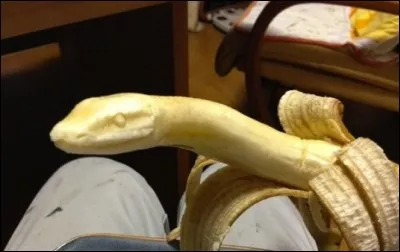 Quel support de sculpture utilise Keisuke Yamada ?