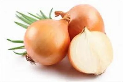 Comment appelle-t-on une préparation culinaire à base d'oignons ?