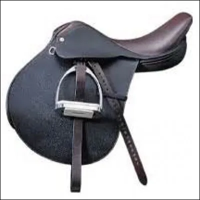 Laquelle de ces propositions désigne une composante d'une selle (de cheval par exemple) ?