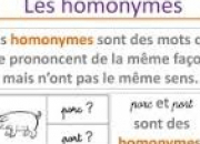 Quiz 7 - Homonymes en folie !