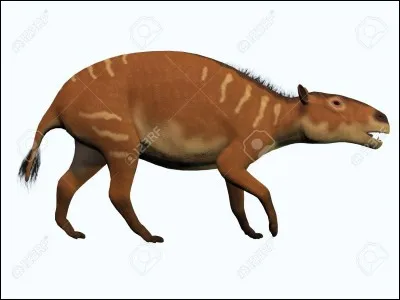 L'hyracotherium semble être le premier membre de la lignée d'un animal actuel !