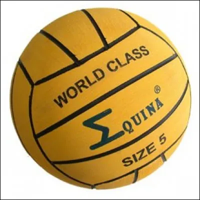 Quel sport allez-vous pratiquer avec ce ballon ?