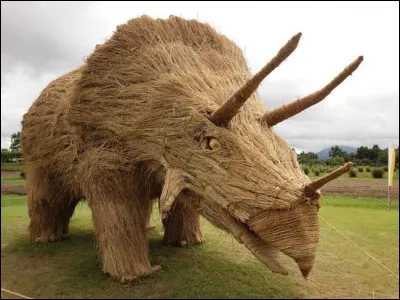 Fabriqués à l'occasion du « Wara Art Festival », des artistes ont su réutiliser la paille post récolte pour concevoir de superbes animaux presque grandeur nature. Ces sculptures reposent sur des cadres en bois sur lesquels la paille est maintenue. Mante religieuse, crabe, dinosaures en tout genre, c'est un véritable zoo à l'air libre imaginé par l'artiste Amy Goda. Où a lieu ce festival original ?