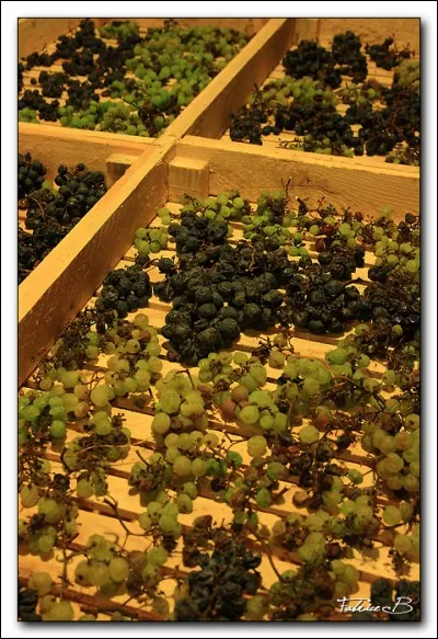 Comment s'appelle ce vin du Jura qui se marie parfaitement avec du foie gras ?