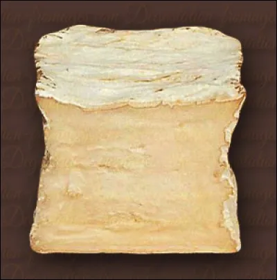 Comment s'appelle ce fromage, triple-crème à pâte molle fermentée, recouvert d'une mince croûte jaunâtre ?