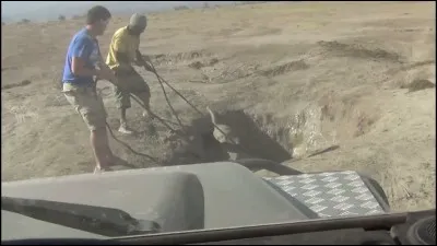 Sauver un animal peut aussi être un moment festif, empreint d'émotion, comme dans ce sauvetage d'un éléphanteau, dans le parc Amboséli au Kenya, qui a fait le tour du monde, quelle chanson peut-on y entendre !