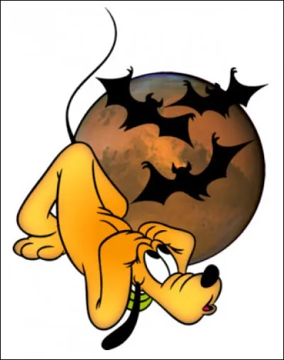 Qui semble effrayé sur cette image ?