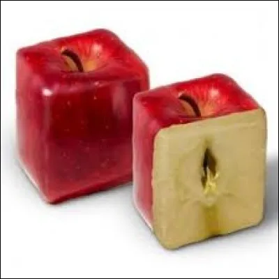 Quelle est la forme de la pomme ?