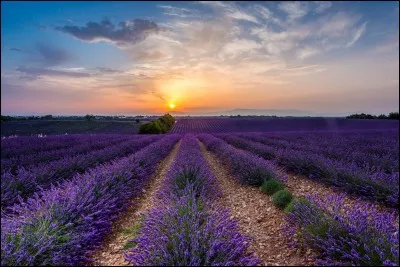 P - Dès "potron-minet", je me couche. C'est le soir.