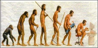 Q - L'ère quaternaire est marquée par l'apparition et le développement de l'espèce humaine.