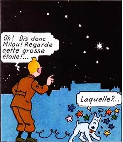 S - L'étoile "Sirius" fait partie de la constellation de la Grande Ourse.