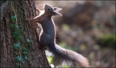 Ces questions peuvent peut-être vous sembler agaçantes, pourtant je ne suis pas là pour ...