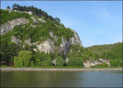 Si je vous dis : « Ses cenelles ne traînent pas par terre », vous répondez :