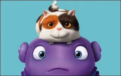 Si je vous dis : « La mare est celui de l'oie », vous répondez :