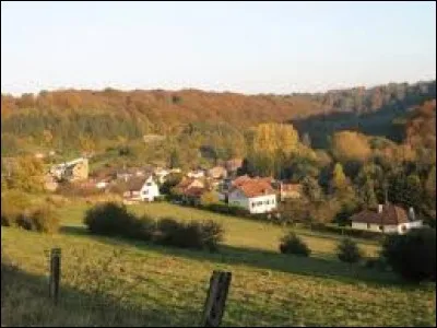 Petit tour en Lorraine, dans le Pays Haut. Nous sommes à Viviers-sur-Chiers, village situé dans le département ...