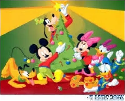 Que fait Dingo sur l'image ?