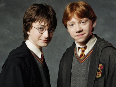 HP1 (film) - À Noël, que faisaient Harry et Ron quand Hermione s'apprêtait à prendre le Poudlard Express ?