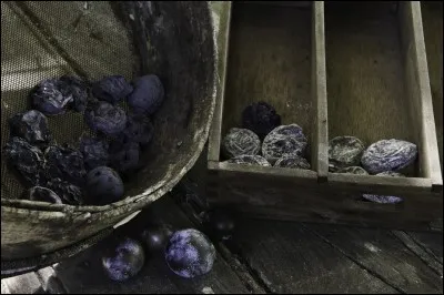 Où se déroule la fête de la Pistole, variété de prunes que l'on fait sécher et connues depuis François 1er ?