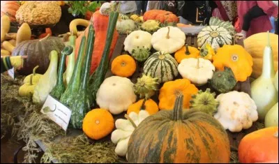 Que se passe-t-il à Caligny, près de Flers dans l'Orne en octobre depuis 2008 ?