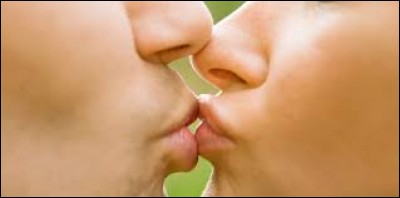 Quelle maladie surnomme-t-on "la maladie du baiser" ?