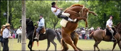 La f&ecirc;te de la tradition : Durant cette f&ecirc;te, on d&eacute;guste des mets locaux et on joue au " jineteada &raquo; c'est-&agrave;-dire tenir plus de 30 secondes sur un cheval fou et sur un fond de musique traditionnelle. C'est une f&ecirc;te tr&egrave;s traditionnelle, un peu d&eacute;laiss&eacute;e des jeunes...